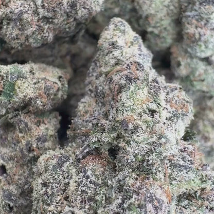Rose Gold Runtz - Hybrid (Exotic) 3.5g