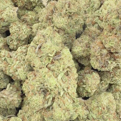 Purple Cereal Milk - Hybrid 3.5g