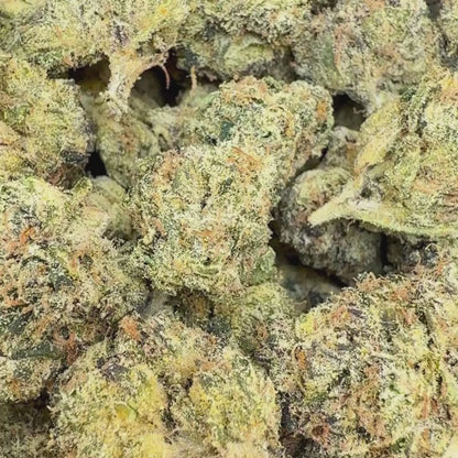 Cherry Cookie - Indica (Exotic) 3.5g