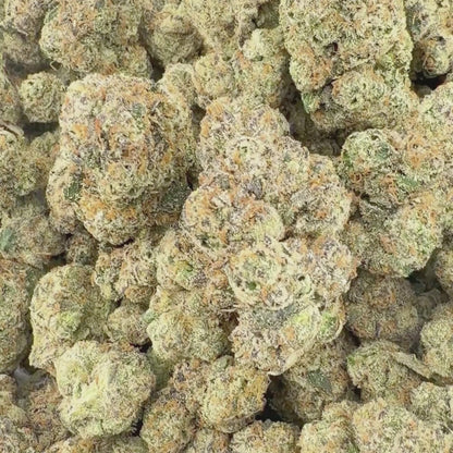 Plum Poppers - Indica 3.5g