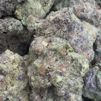 Apple Fritter - Hybrid 3.5g