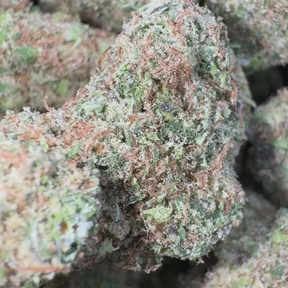 Watermelon Zkittlez - Hybrid 3.5g