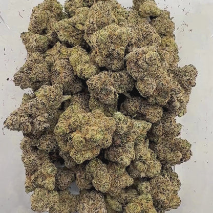 Nuclear Gelato - Hybrid (Exotic) 3.5g