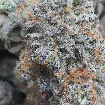 Animal Mintz - Hybrid 3.5g