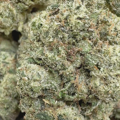 Strawberry Cough - Sativa 3.5g