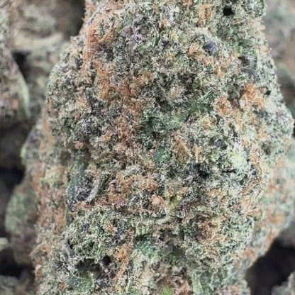 Snowcone Kush - Indica 3.5g