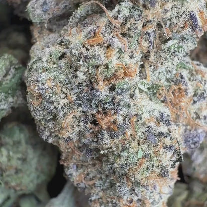 Biscotti - Indica 3.5g