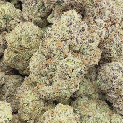 Vanilla Cashmere - Hybrid (Exotic) 3.5g