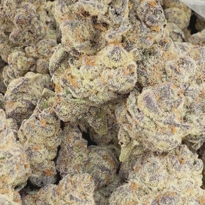 Truffle Gelato- Hybrid (Exotic) 3.5g