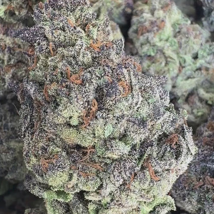 Gummy Bear OG - Sativa 3.5g