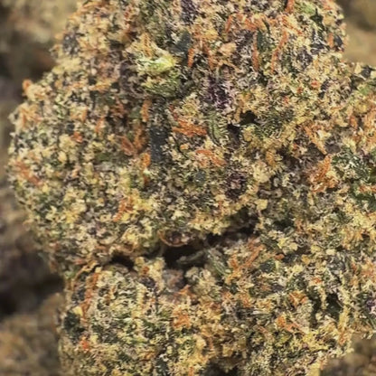 Churro Dream - Sativa (Exotic) 3.5g