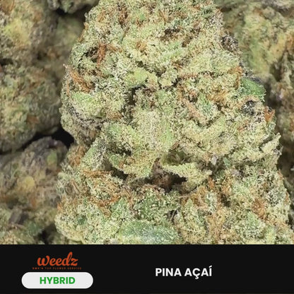 Pina Açaí - Hybrid (Exotic) 3.5g