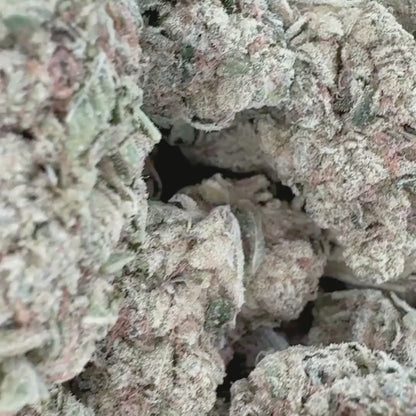 Do Not Disturb - Indica 3.5g