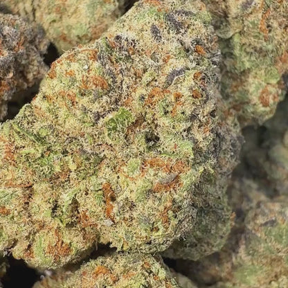 Blueberry Kush - Indica  3.5g