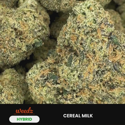 Cereal Milk - Hybrid (Exotic) 3.5g