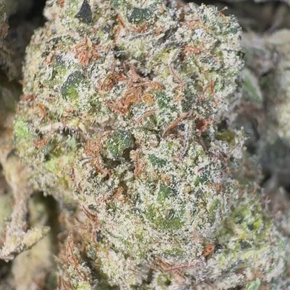 Snowland - Hybrid 3.5g