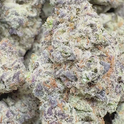 Electric Lemonade - Sativa (Exotic) 3.5g