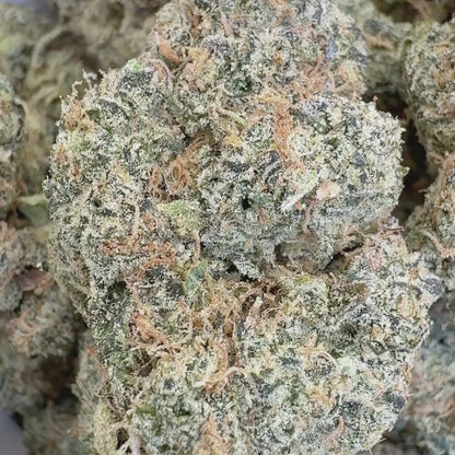 Day & Night - Hybrid 3.5g