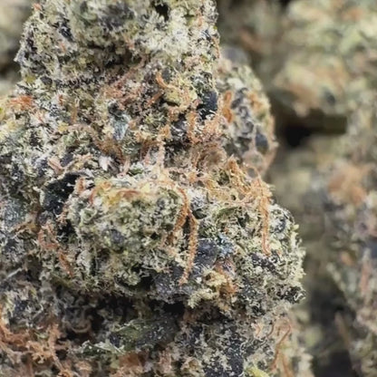 Purple Haze - Sativa 3.5g