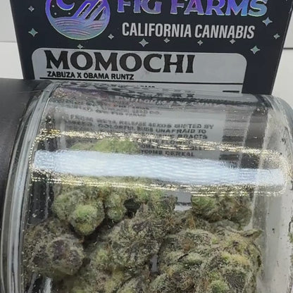 Fig Farms - Momochi - Hybrid 3.5g