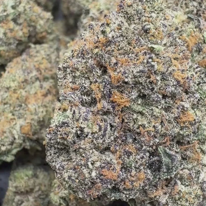 Mochi - Hybrid (Exotic) 3.5g