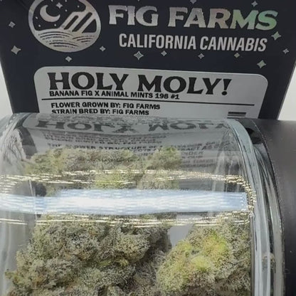 Fig Farms - Holy Moly! - Sativa 3.5g