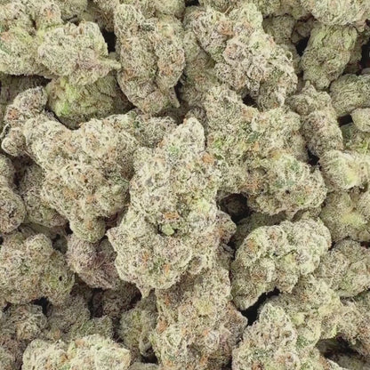 Electric Fuel - Sativa (Exotic) 3.5g