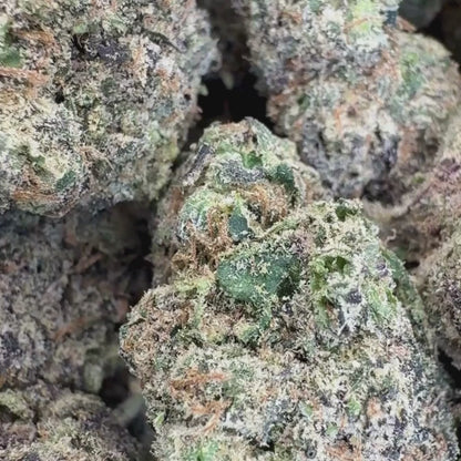 Starburst OG - Indica (Exotic) 3.5g