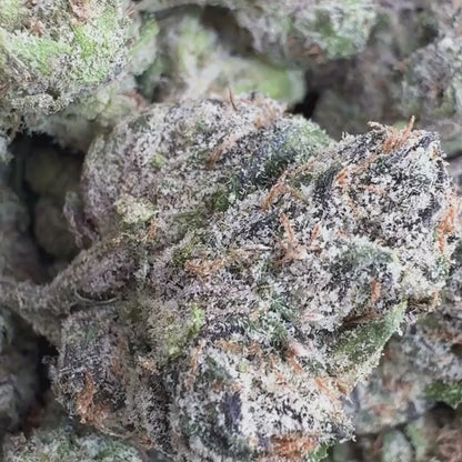 Lemon Gelato - Sativa 3.5g