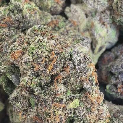 Creamsicle Crush - Indica 3.5g