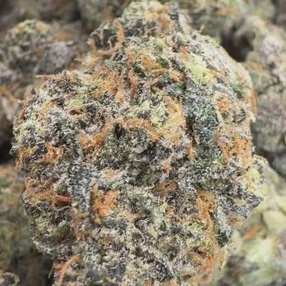 Blue Dream - Sativa (Exotic) 3.5g