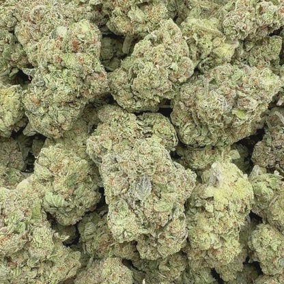 TMJ - Sativa 3.5g