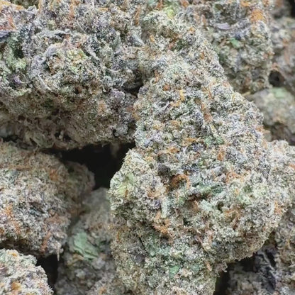 Forbidden Cherry - Hybrid (Exotic) 3.5g