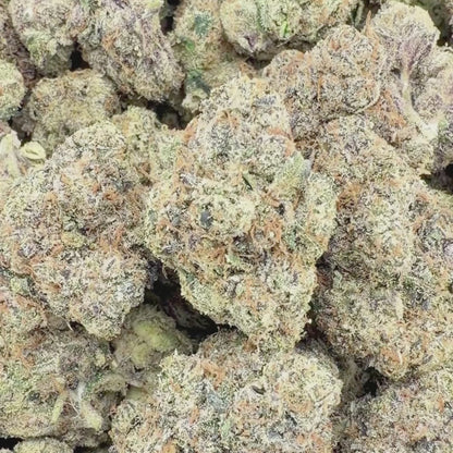 Lemon Haze - Sativa (Exotic) 3.5g