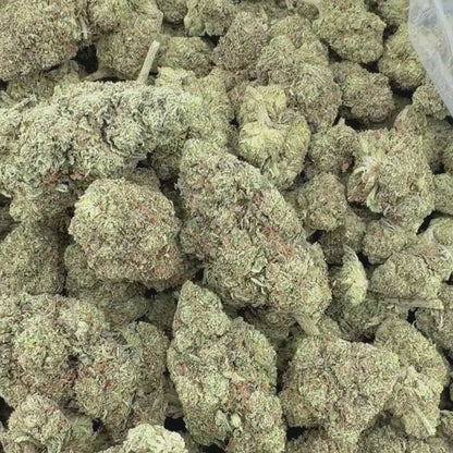 Black Cherry Gelato  - Hybrid 3.5g