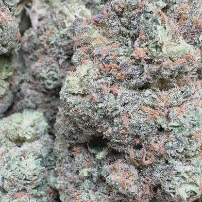 Sherbacio - Indica 3.5g