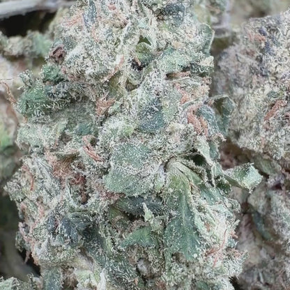 Unicorn Runtz - Hybrid 3.5g