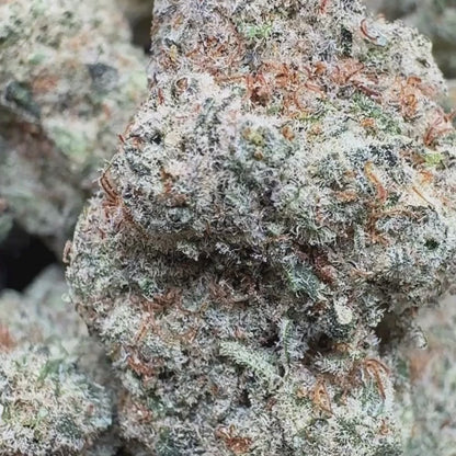 Papaya OG - Hybrid 3.5g