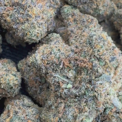 Champagne - Sativa 3.5g