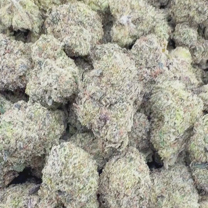 Phantom Candy Runtz - Indica 3.5g