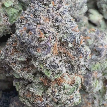 Orange Crush - Sativa (Exotic) 3.5g