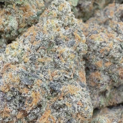 Gee41 - Indica (Exotic) 3.5g