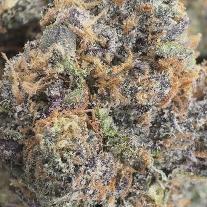 Gringo Loco - Hybrid (Exotic) 3.5g