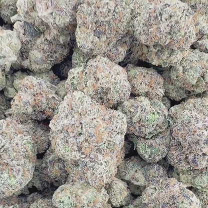 White Gummy - Sativa 3.5g
