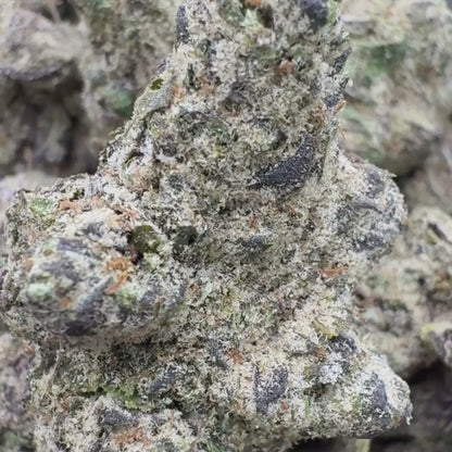 Runtz - Hybrid (Exotic) 3.5g