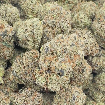 Obama Runtz - Hybrid 3.5g