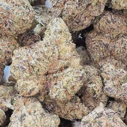 Mango Bliss - Hybrid (Exotic) 3.5g