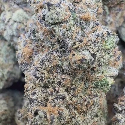 Cereal Milk - Hybrid (Exotic) 3.5g