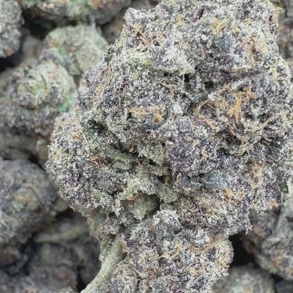 Açaí Berry - Hybrid (Exotic) 3.5g