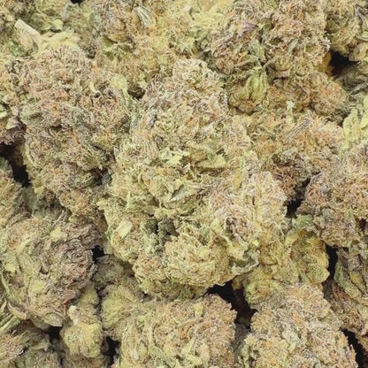 Pillow Talk - Indica 3.5g